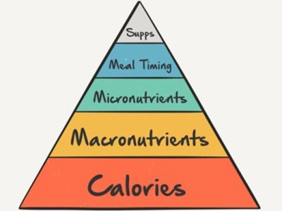 The Basics To&nbsp;Nutrition